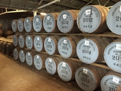 Casks maturing at Ardbeg distillery
